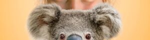Izzy's Koala World izle