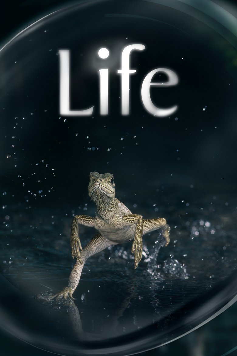 Life izle