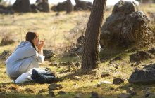 Little Cabin in the Woods izle