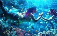 MerPeople izle