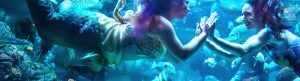 MerPeople izle