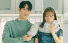 My Roommate Is a Gumiho izle