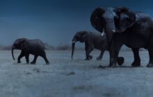 Night on Earth izle