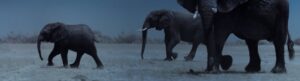Night on Earth izle