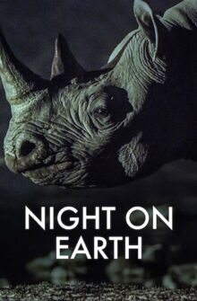 Night on Earth izle