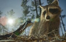Nightmares of Nature izle