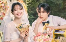 No Gain No Love izle