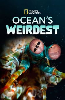 Ocean’s Weirdest izle