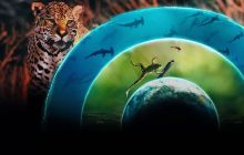 Our Living World izle