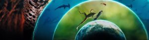 Our Living World izle