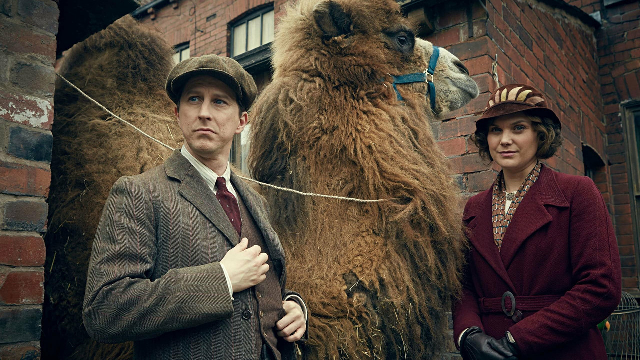 Our Zoo izle