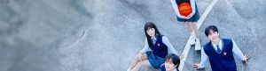 Perfect Family izle
