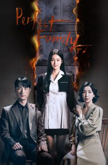 Perfect Family dizi izle