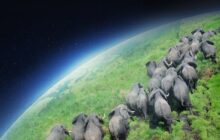 Planet Earth izle