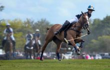 Polo izle