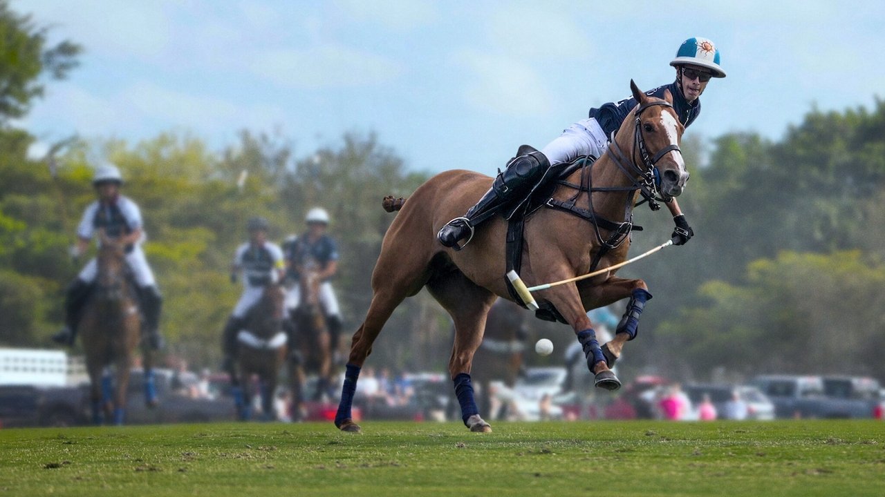 Polo izle