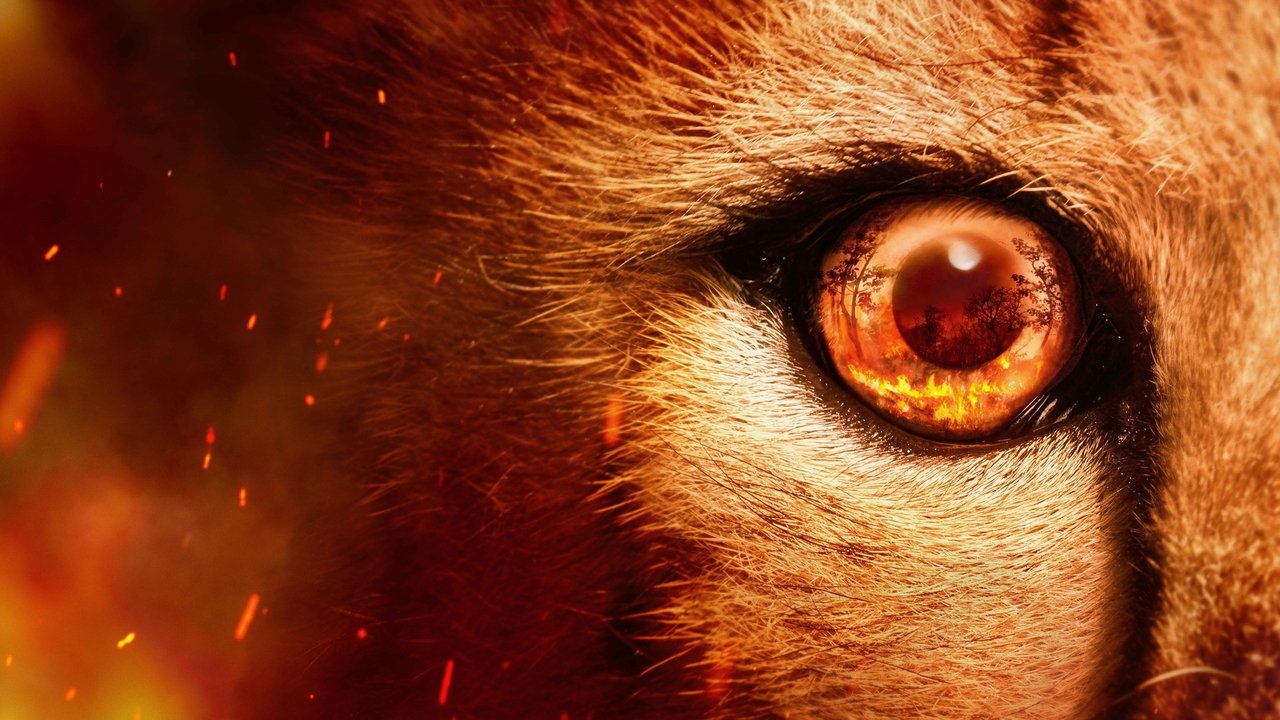 Predators izle