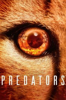 Predators izle