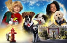Pup Academy izle