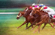 Race for the Crown izle