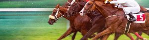 Race for the Crown izle