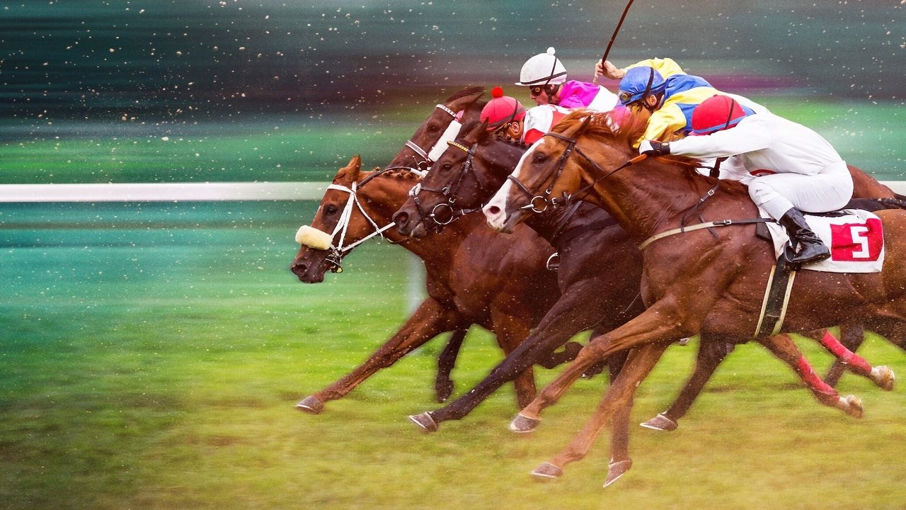 Race for the Crown izle