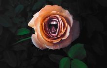 Roar 1. Sezon 8. Bölüm izle