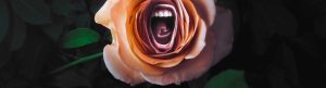 Roar izle