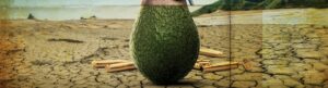 Rotten izle