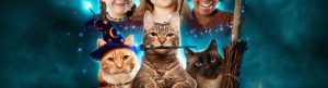 Scaredy Cats izle