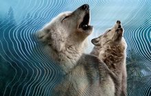 Secret World of Sound izle