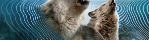 Secret World of Sound izle