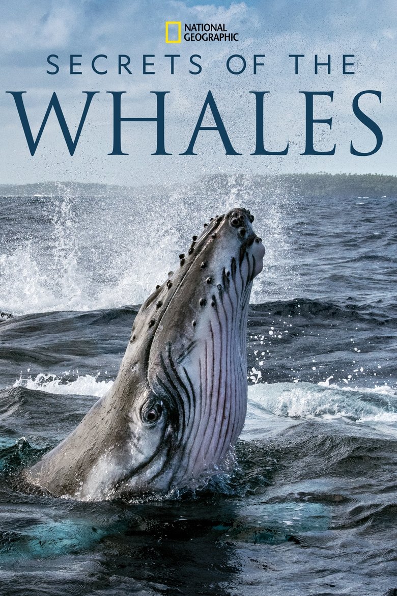 Secrets of the Whales izle