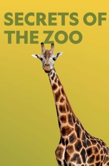 Secrets of the Zoo dizi izle