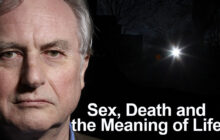Sex, Death and the Meaning of Life izle