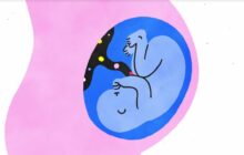 Sex, Explained izle