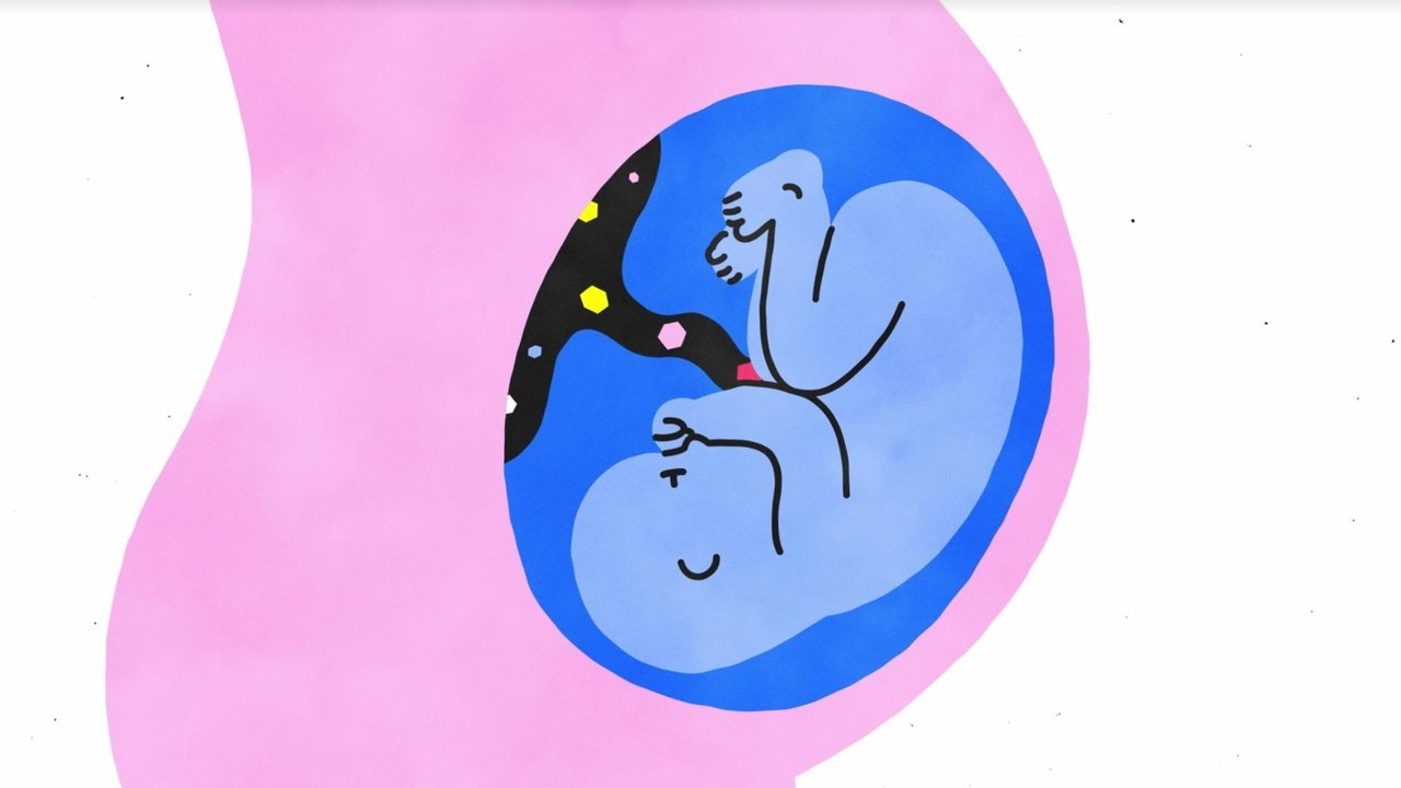 Sex, Explained izle