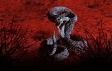 Something Bit Me! 1. Sezon 11. Bölüm izle