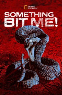 Something Bit Me! izle