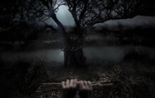 Stephen King's Kingdom Hospital izle