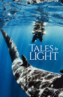 Tales by Light izle