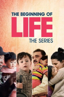 The Beginning of Life: The Series izle