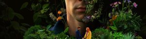 The Gardener izle
