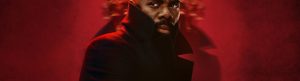 The Madness izle