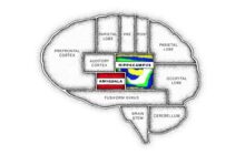 The Mind, Explained izle