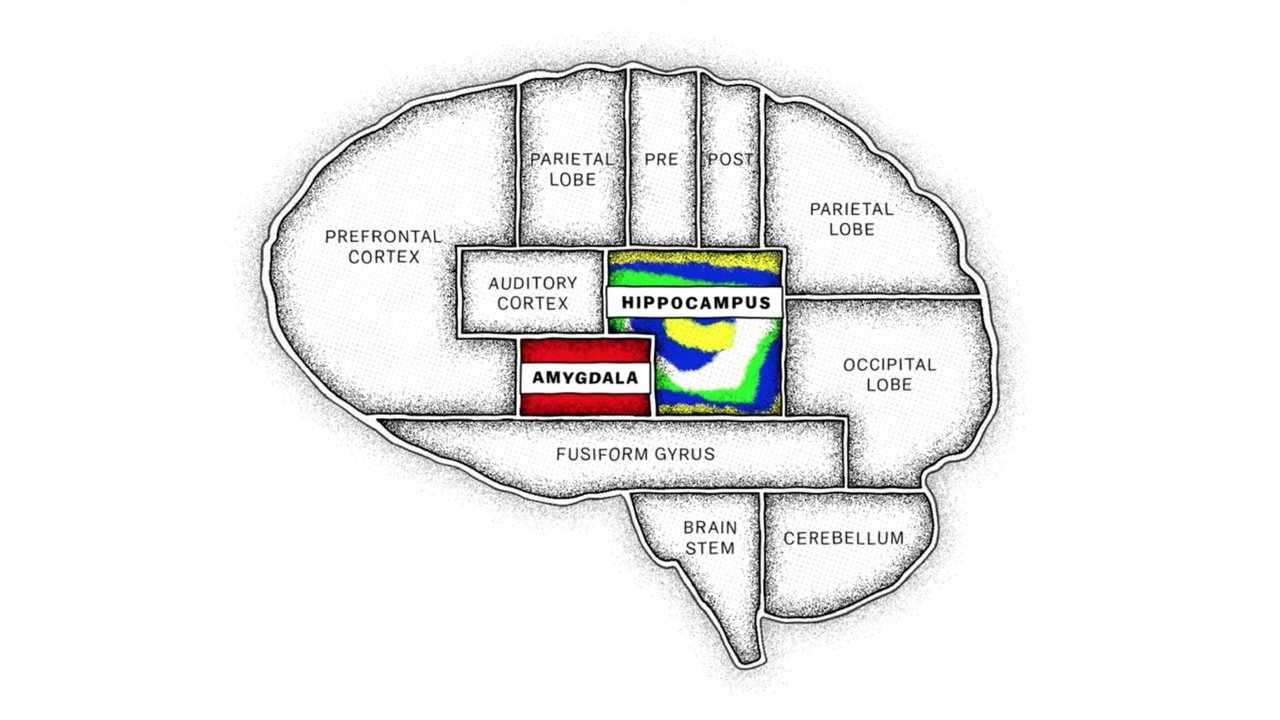 The Mind, Explained izle