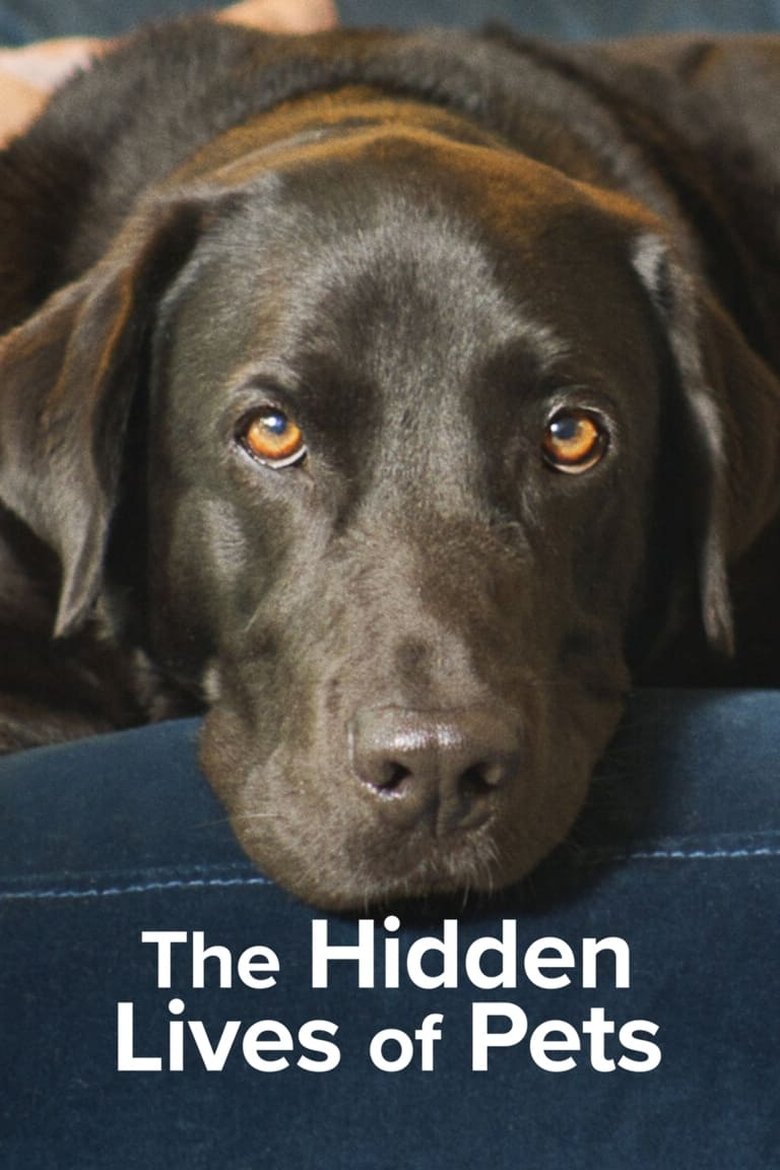 The Secret Life of Our Pets izle