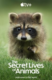 The Secret Lives of Animals izle