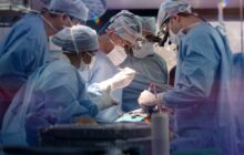 The Surgeon's Cut izle