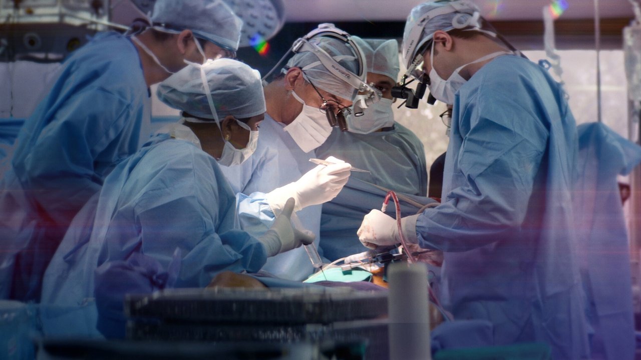 The Surgeon's Cut izle